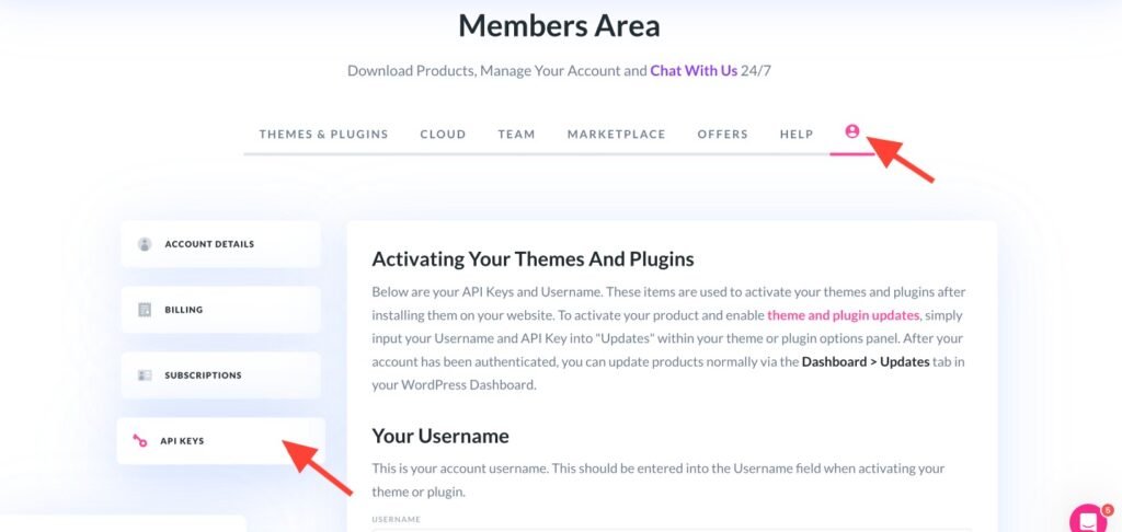 Divi Theme tutorial